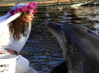 Γυναίκα παντρεύτηκε δελφίνι και έμεινε χήρα: «Είμαι μονογαμική, δεν θα ξαναπαντρευτώ»