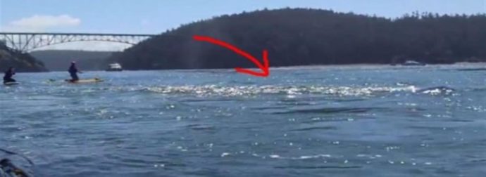 Όταν είδε την θάλασσα να αφρίζει άρπαξε αμέσως την κάμερα – Αυτό που κατέγραψε θα σας αφήσει με το στόμα ανοιχτό (Video)