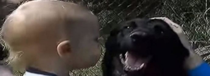 Ο σκύλος γάβγιζε στην babysitter και ο πατέρας έβαλε κάμερα – Δεν φαντάζεστε τι ανακάλυψε (video)