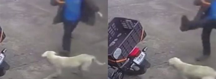 Άνδρας πάει να κλωτσήσει αδέσποτο σκυλί και το πληρώνει πολύ ακριβά (video)