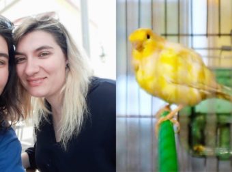 Η Δήμητρα Πισπιρίγκου πpόδωσε την αδερφή της: Έτσι την πάτησε η Ρούλα με το καναρίνι – «Εγώ δεν άκουσα πουλί»