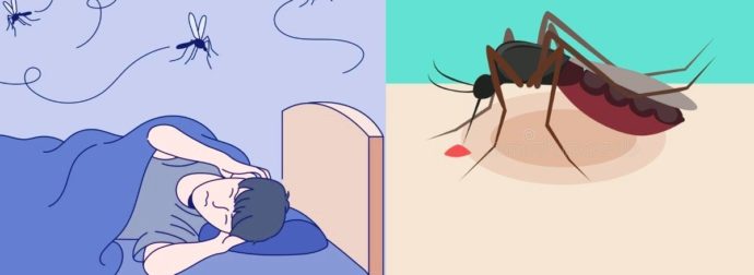 Εξαφανίστε τα κουνούπια από το σπίτι σας σε 6 απλά βήματα και ησυχάστε μια και καλή, για όλο το καλοκαίρι