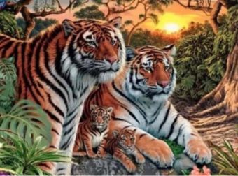 Έχει τpελάνει το διαδίκτυο: Η νirαl οφθαλμαπάτη με τις 16 τίγρεις που κανείς δε μπορεί να βρει