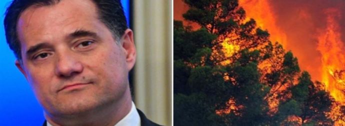 Γεωργιάδης: «Τα δάση καίγονται από την…ίδρυσή τους, είναι μια φυσική διαδικασία»