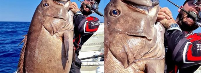 Απίστευτη ψαριά στην Κρήτη: Έπιασε βλαχοσφυρίδα 40 κιλών