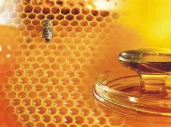 Σάλος: Δεν φαντάζεστε από που προέρχεται το μέλι που τρώμε και μας το παρουσιάζουν για ελληνικό! (photo)