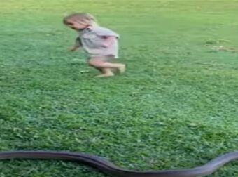 2χρονος μπόμπιρας αρπάζει ένα φίδι και το κάνει βόλτα στον κήπο του σπιτιού του – Αυτό που συμβαίνει μετά, δεν θα το πιστεύετε με τίποτα!