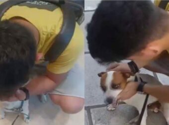 Νεαρός Θεσσαλονικιός ξανασμίγει με τον χαμένο σκύλο του μετά από 5 χρόνια & οι εικόνες κάνουν το γύρο του διαδικτύου