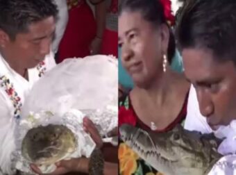 Εναλλακτικός γάμος: Άνδρας πρωτοτύπησε και παντρεύτηκε έναν… αλιγάτορα (video)