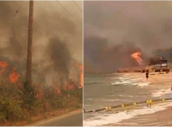 Εφιαλτικές στιγμές στην Αλεξανδρούπολη: Εκτός ελέγχου η πυρκαγιά, στη θάλασσα οι φλόγες – Εκκενώνονται 9 περιοχές! (videos)