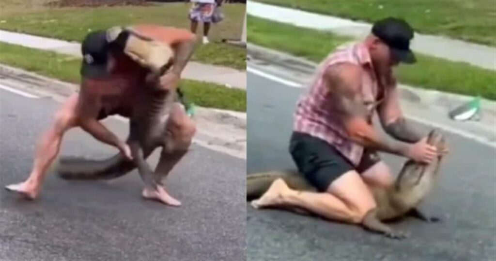 Ανατριχιαστικό βίντεο: Άνδρας έπιασε με γuμνά χέρια αλιγάτορα 2,5 μέτρων που έκοβε βόλτες στην πόλη (video)