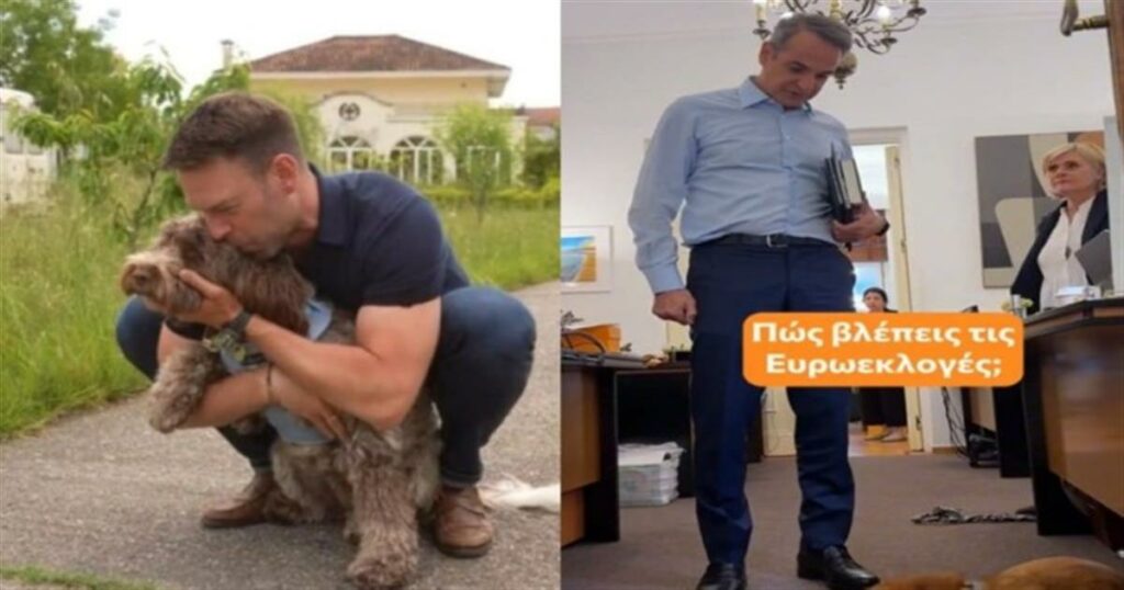 «Έλα να σε πω κομματόσκυλο, να πάρω ψήφους»: Το Tik Tok του Στέφανου Κασσελάκη με την Φάρλι και η σπόντα στον Μητσοτάκη (video)