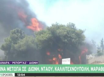 «Βρίσκονται άνθρωποι!»: Άρχισε να ουρλιάζει και να τρέχει στον αέρα του ΣΚΑΪ η ρεπόρτερ μόλις είδε σπίτι να παίρνει φωτιά