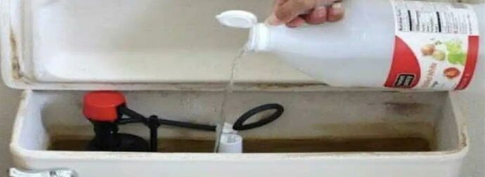 Ρίξτε ξύδι στο καζανάκι της τουαλέτας και θα εκπλαγείτε – Δεν μας τα λέει κανείς αυτά