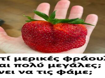 Γιατί μερικές φράουλες είναι πολύ μεγάλες; Κάνει να τις φάμε;
