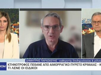 Αιμορραγικός πυρετός: «Δεν μεταδίδεται εύκολα, έχουν ληφθεί όλα τα απαραίτητα μέτρα» λέει επιδημιολόγος