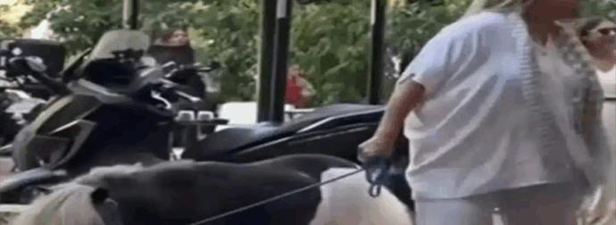 Γυναίκα έβγαλε βόλτα το πόνυ της στο κέντρο της Αθήνας