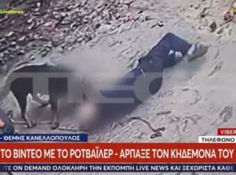 Μεσσηνία: Ροτβάιλερ κατασπάραξε σε ηλικιωμένο – Αστυνομικός τον έσωσε σκοτώνοντας το ζώο