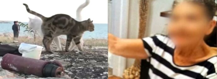 Αγωνία στη Γλυφάδα για την 70χρονη: Ο 38χρονος άστεγος την χτύπαγε ενώ είχε λιποθυμήσει – «Τον είχε ταΐσει και δύο φορές»