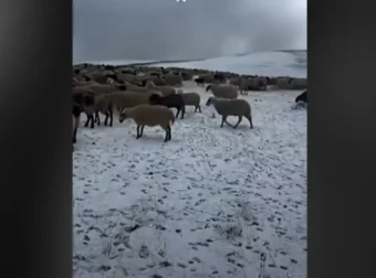 Σαμαρίνα ΤΩΡΑ – Έπεσε το πρώτο χιόνι, εγκλωβισμένοι στα θερινά βοσκοτόπια οι κτηνοτρόφοι λόγω ευλογιάς
