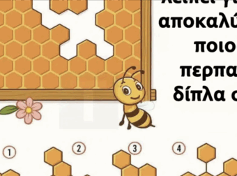 Βρες το κομμάτι της κηρήθρας που λείπει για να αποκαλύψεις ποιος περπατάει δίπλα σου