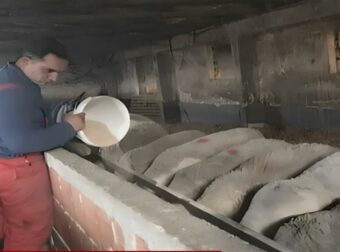 Η απελπισία κτηνοτρόφου που έχασε τα πάντα λόγω ευλογιάς: Θανάτωσε 200 πρόβατα και έφυγε στην Αθήνα για δουλειά (video)