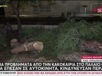 Χαμός στο Παλαιό Φάληρο λόγω της κακοκαιρίας Adel: Ξεριζωμένα δέντρα έπεσαν σε αυτοκίνητα, κινδύνευσαν περαστικοί