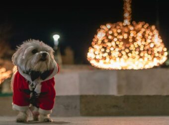 Χριστούγεννα με βροχές, Πρωτοχρονιά με χιόνια – Πότε αλλάζει ο καιρός; Τι προβλέπει ο Κλέαρχος Μαρουσάκης;