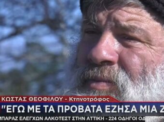 «Εγώ με τα πρόβατα έζησα μια ζωή»: Συγκλονίζει ο κτηνοτρόφος που υπέστη εγκεφαλικό επειδή έπρεπε να θανατώσει 450 ζώα