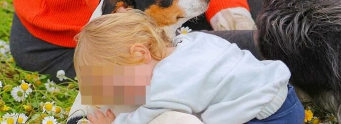 Σπαραγμός για τον μικρό Λίο: Σήμερα (10/12) το μεσημέρι η κηδεία του αγοριού που κατασπαράχθηκε από πίτμπουλ στη Ζάκυνθο