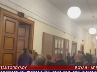 Τη σύλληψη του «Φραπέ» ζητά η Κωνσταντοπούλου – «Απείλησε ότι θα μου στρίψει το λαρύγγι» (video)