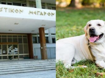Δραματικές στιγμές στην Λάρισα: 67χρονος σκότωσε σκύλο με καραμπίνα – «Ήταν σαν να μου ‘φαγε παιδί»