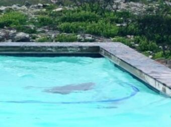 Γιατρός κήρυξε νεκρό παιδί 18 μηνών και το βρήκαν ζωντανό στο νεκροτομείο – «Παρακαλώ κάντε τα δικά σας και αφήστε με να κάνω τα δικά μου. Πήγα στην ιατρική σχολή για κάποιο λόγο»