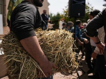 Τι δείχνει η πρώτη έκθεση επιτήρησης για τον αφθώδη πυρετό στη Λέσβο – «Η αντιμετώπισή του απαιτεί συνεργασία και επιστήμη»