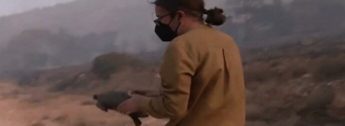 Ρεπόρτερ της ΕΡΤ σώζει χελώνα μέσα από τις φλόγες στη φωτιά του Κουβαρά